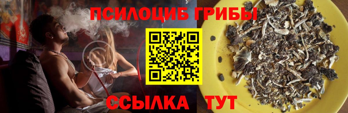 Галлюциногенные грибы ЛСД Сертолово