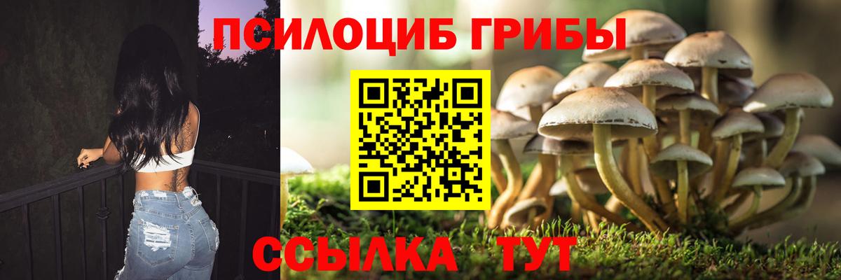 Сертолово  Псилоцибиновые грибы Cubensis  Псилоцибиновые грибы Psilocybe  Вход с VPN 